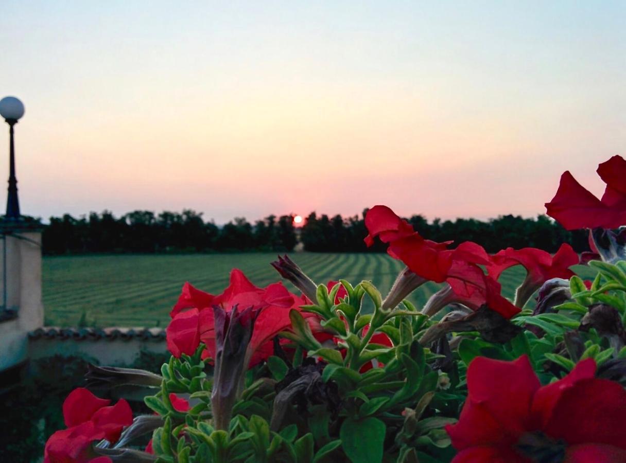 Agriturismo Corte Bebbi Bibbiano  ภายนอก รูปภาพ